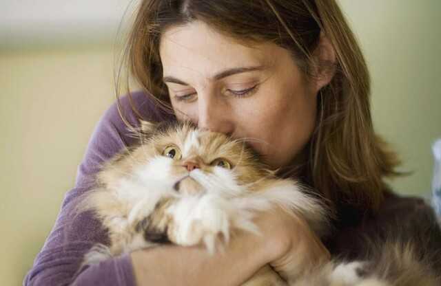 Айлурофилия (патологическая привязанность к кошкам) - причины