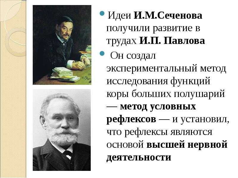 Рефлекторная теория и.м. сеченова и и.п. павлова (psyarticles.ru)