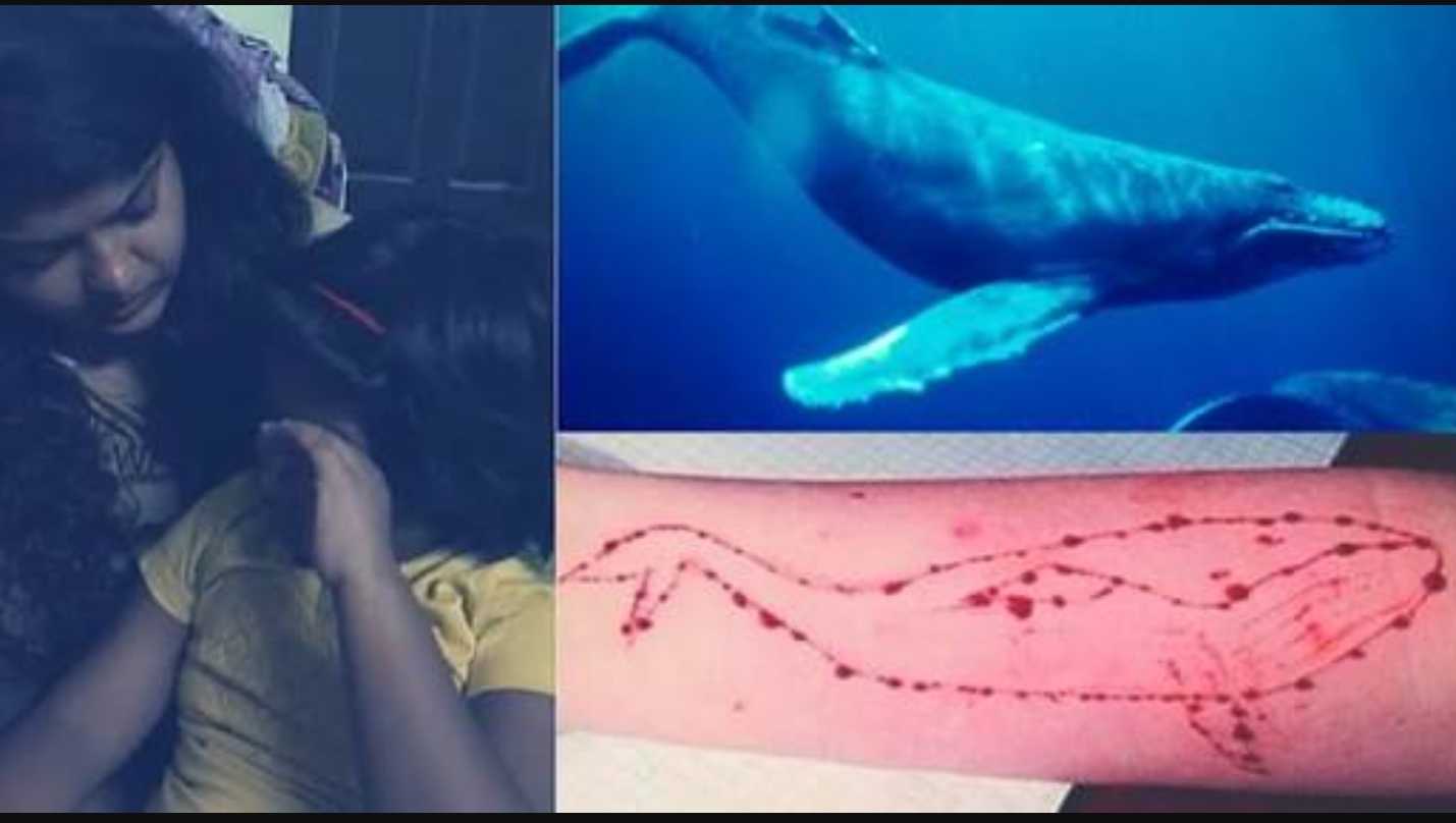 Синий кит вернулся? за прошедшую неделю отмечен всплеск суицидов среди подростков