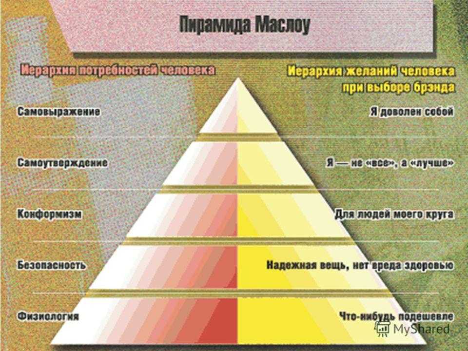 Пирамида потребностей маслоу: принцип и что дает теория для жизни и бизнеса