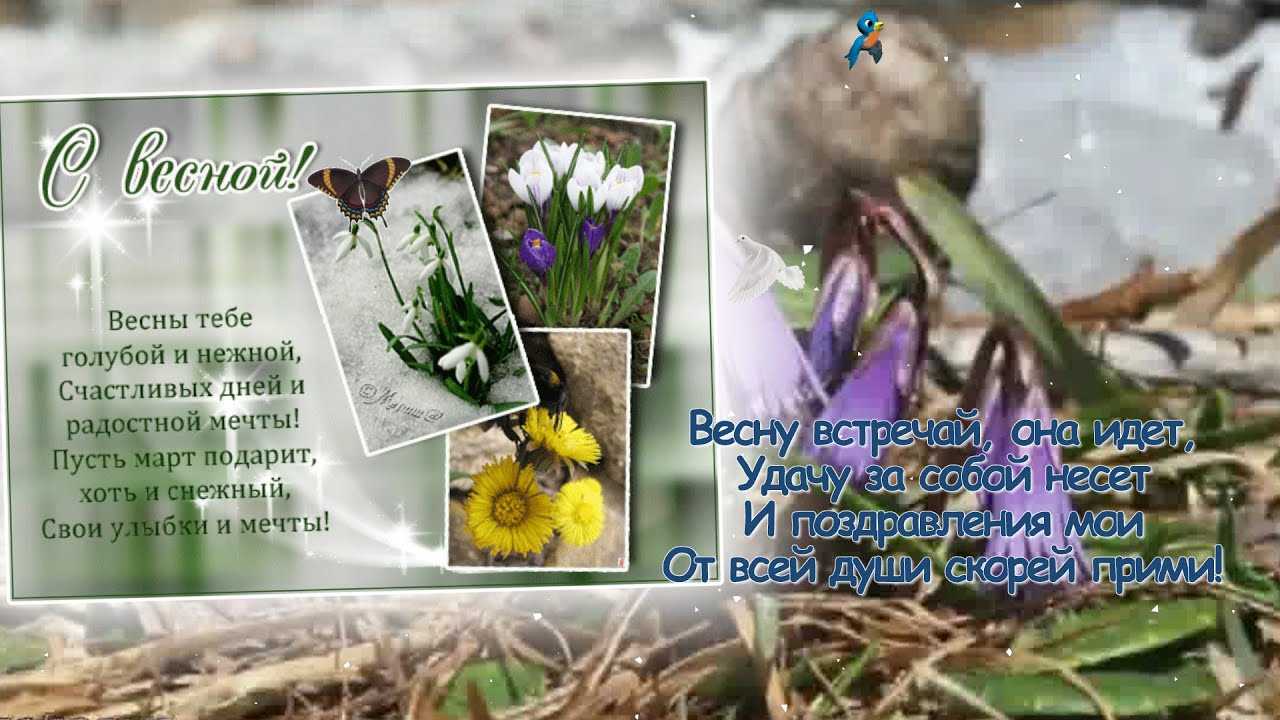 Описание природы весной в лесу. описание весны в художественном стиле