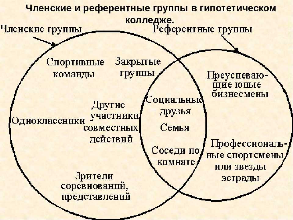 Референтная группа социальная роль