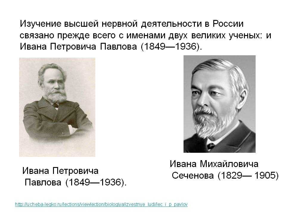 Иван петрович павлов и его вклад в науку