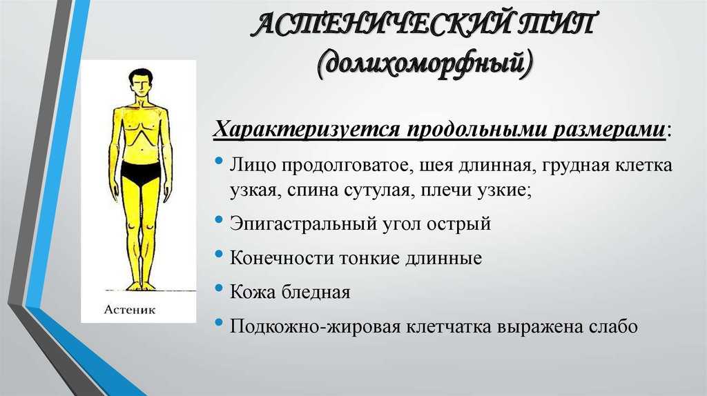 Астеник - это тип личности или телосложения? характеристика астеника - psychbook.ru