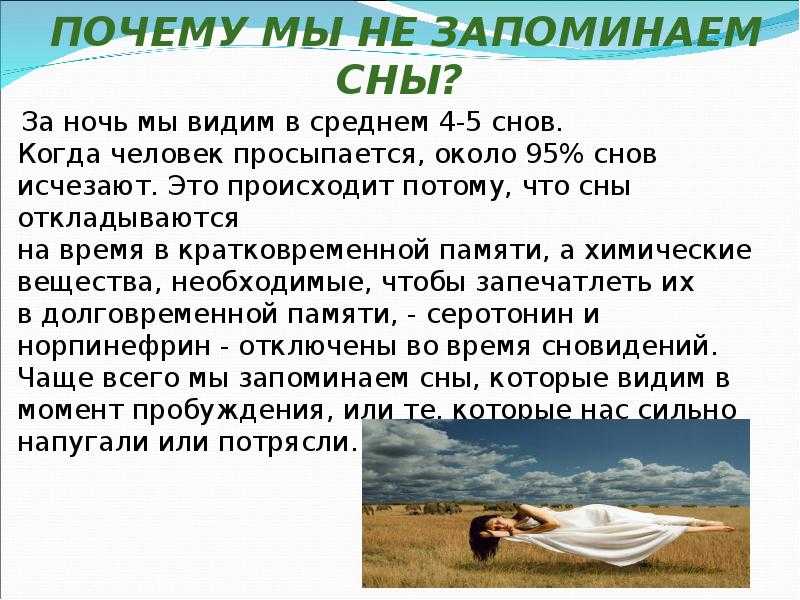 Самые познавательные и интересные факты о снах :: syl.ru
