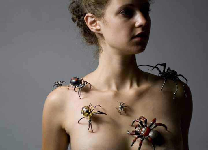 Арахнофобия – это неконтролируемый страх перед пауками, иными словами это такое состояние, когда субъект испытывает паническую боязнь пауков