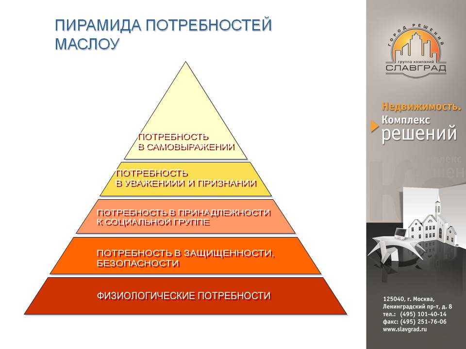 Пирамида маслоу: изображение, структура и описание