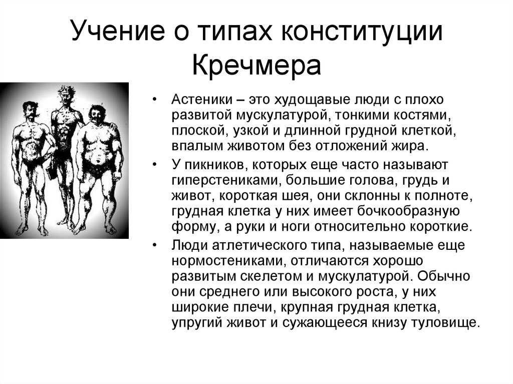 Астенический тип телосложения: признаки, правильное питание и тренировки