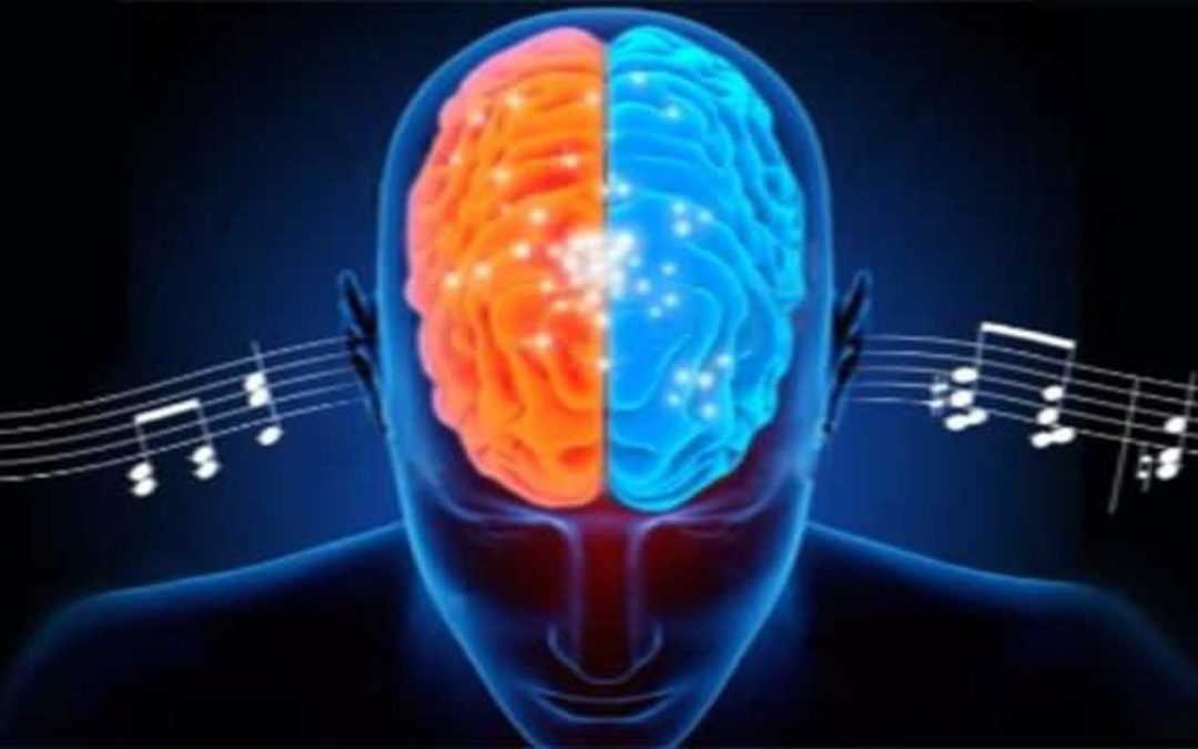 Волны мозга: пять частотных диапазонов работы органа