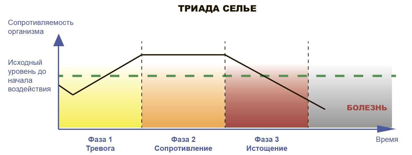 Стадии стресса схема