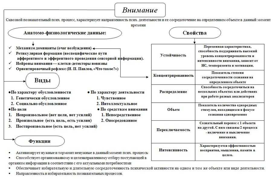 Произвольное внимание. виды внимания. характеристики произвольного внимания :: syl.ru