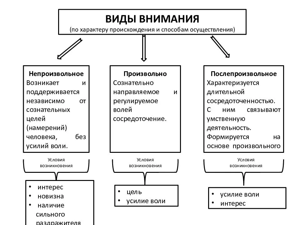 Произвольное, непроизвольное и послепроизвольное внимание: условия возникновения | mma-spb.ru