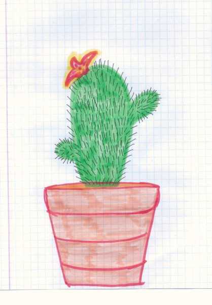 Психологический тест, методика для дошкольников — нарисуй кактус: расшифровка и интерпритация