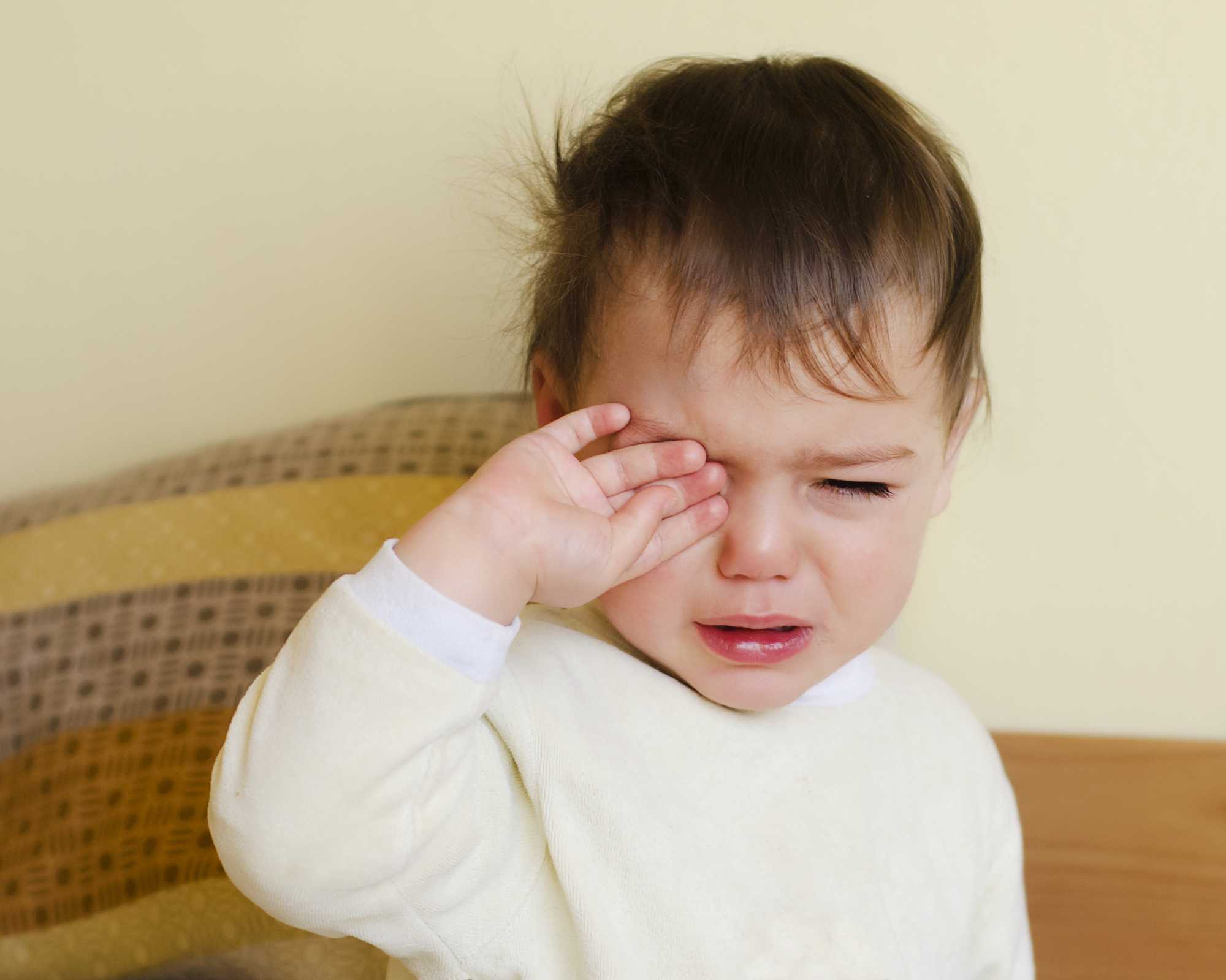 Ребенок в 2-3 года часто психует и капризничает: как бороться с капризами (комаровский)