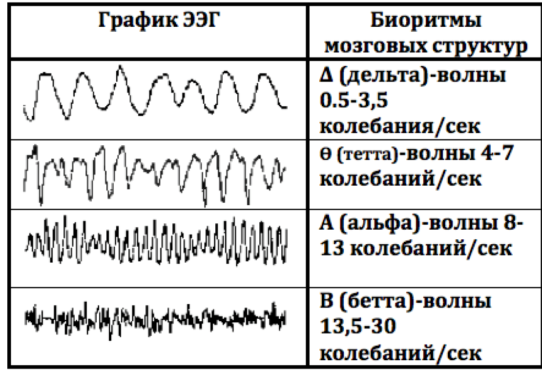 Сколько по времени длится ээг. Ээг головного мозга расшифровка показателей в норме. расшифровка показателей электроэнцефалограммы ээг головного мозга. ээг головного мозга расшифровка ритмов. альфа ритма ээг норма показателей.