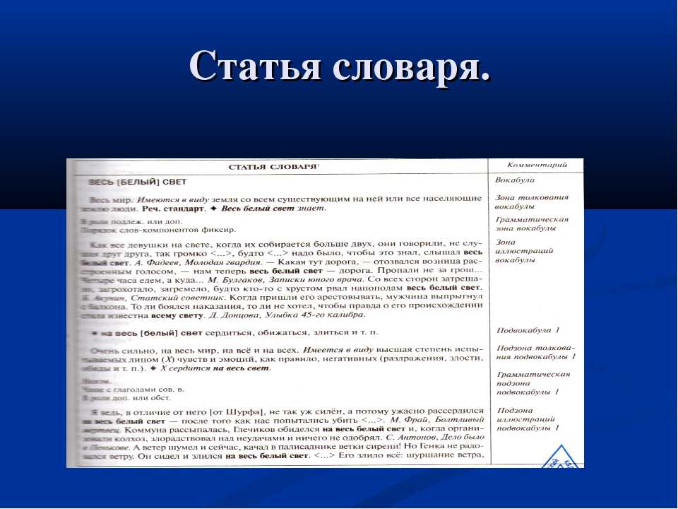 Составляющие статьи. Что такое Словарная статья в словаре. Примеры статей из словарей. Составление словарной статьи. Составить словарь статью.