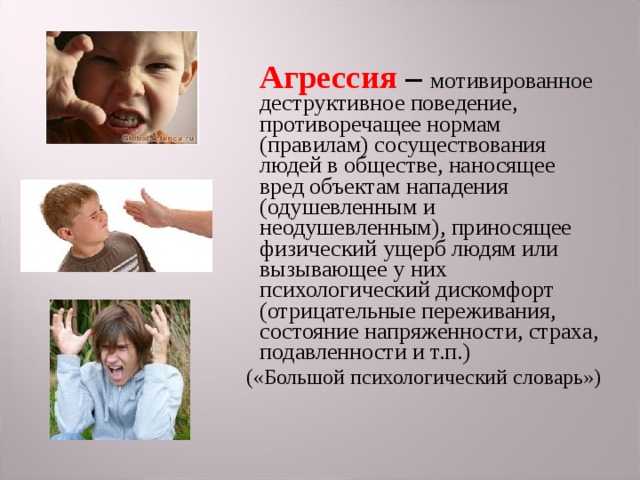 Как определить темперамент ребенка? ✅ блог iqsha.ru