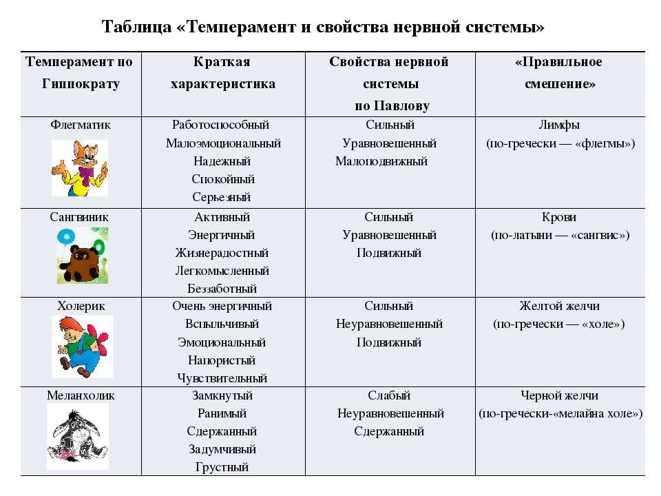 Тип темперамента сангвиник: характеристика и описание