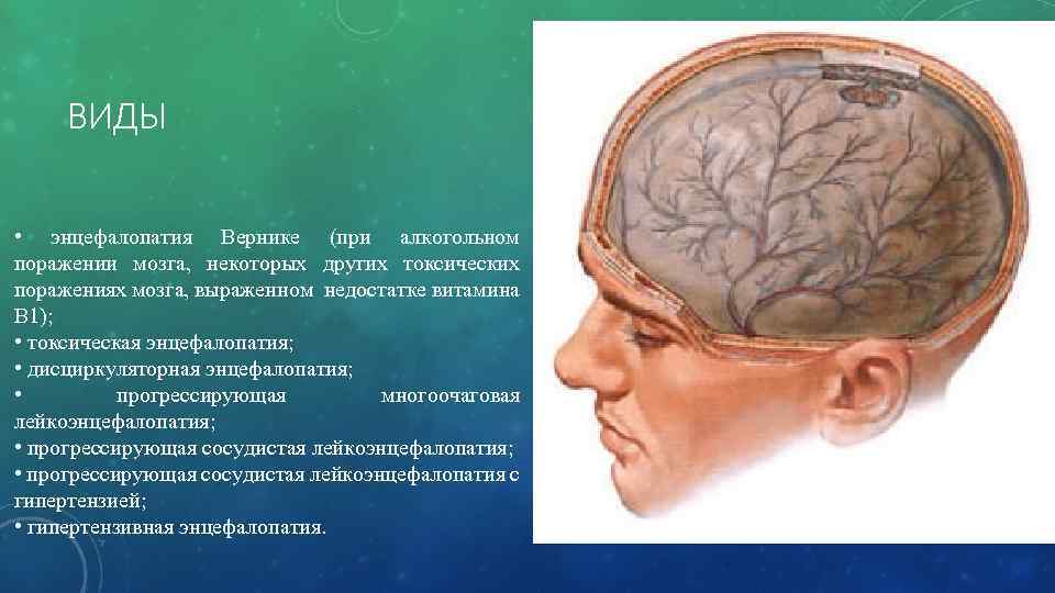 Астенический невроз: причины, симптомы, лечение