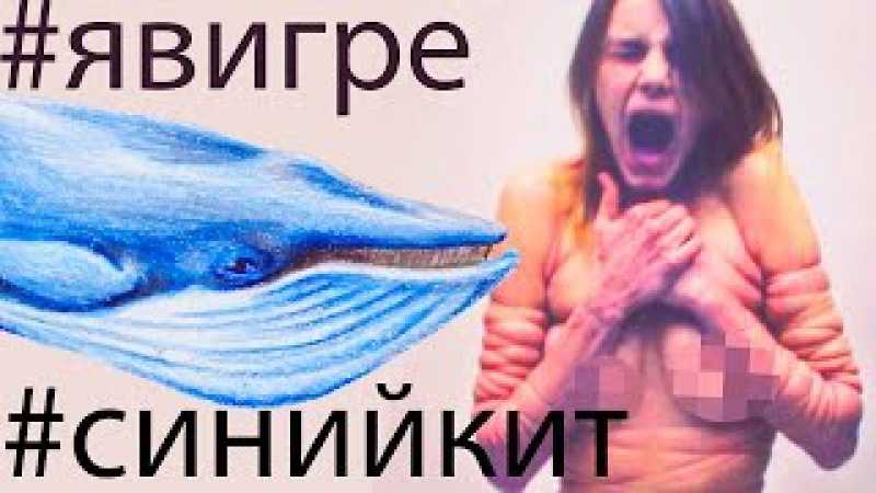 Кто создал игру синий кит? реальные самоубийства подростков. мамы, спасайте своих детей!