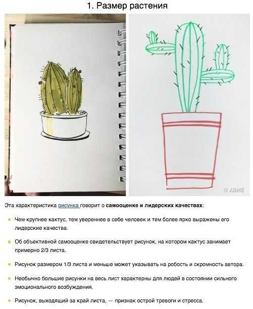 Графическая методика «кактус» (м.а.панфилова)