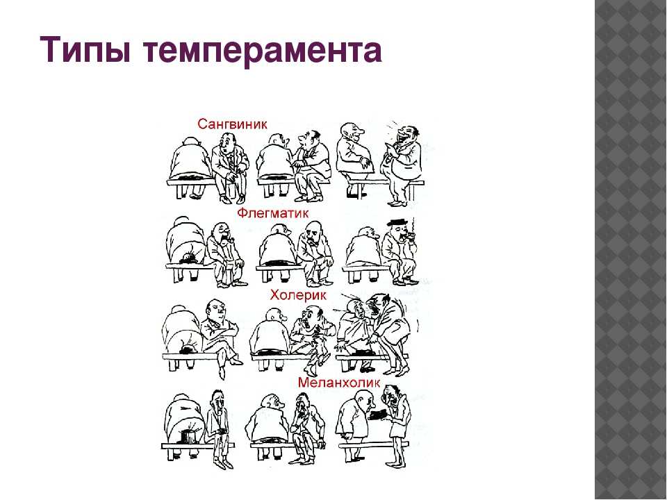 Темперамент человека. 4 типа, свойства и особенности — inormal — психология и жизнь