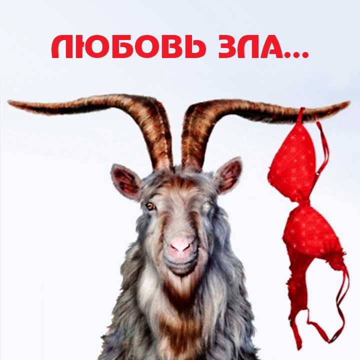 6 признаков «мужа-козла»