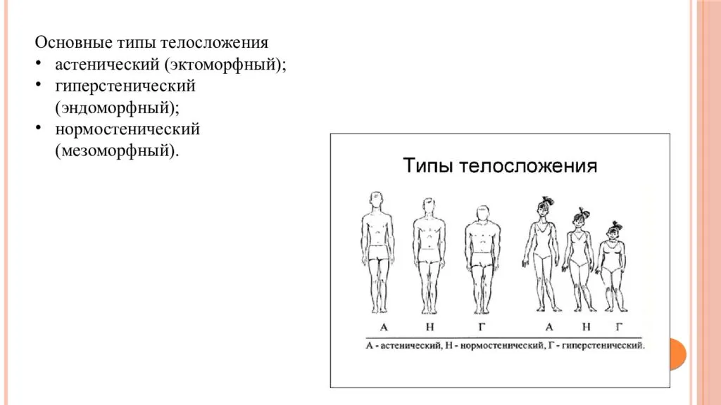 Определение типа телосложения — тест на соматотип