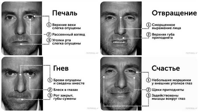 Найти по лицу. Пол Экман базовые эмоции. Мимика пол Экман. Мимика эмоций пол Экман. Пол Экман микровыражения.